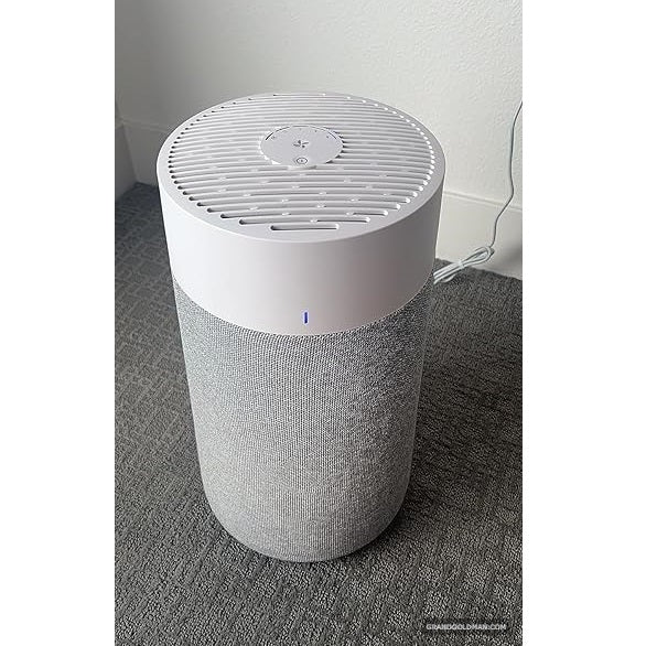 BLUEAIR Air Purifiers for Large Home Room, HEPASilent Smart Air Cleaner for Bedroom - Best Smart Air Purifiers for Home & Pets (Reviews) - grandgoldman.com