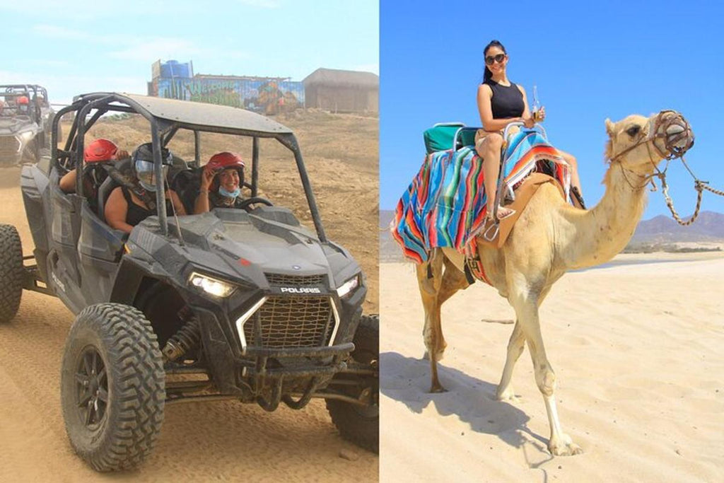 Promenade à dos de chameau et UTV - les meilleures choses à faire à Cabo San Lucas pour les couples - GRANDGOLDMAN.COM