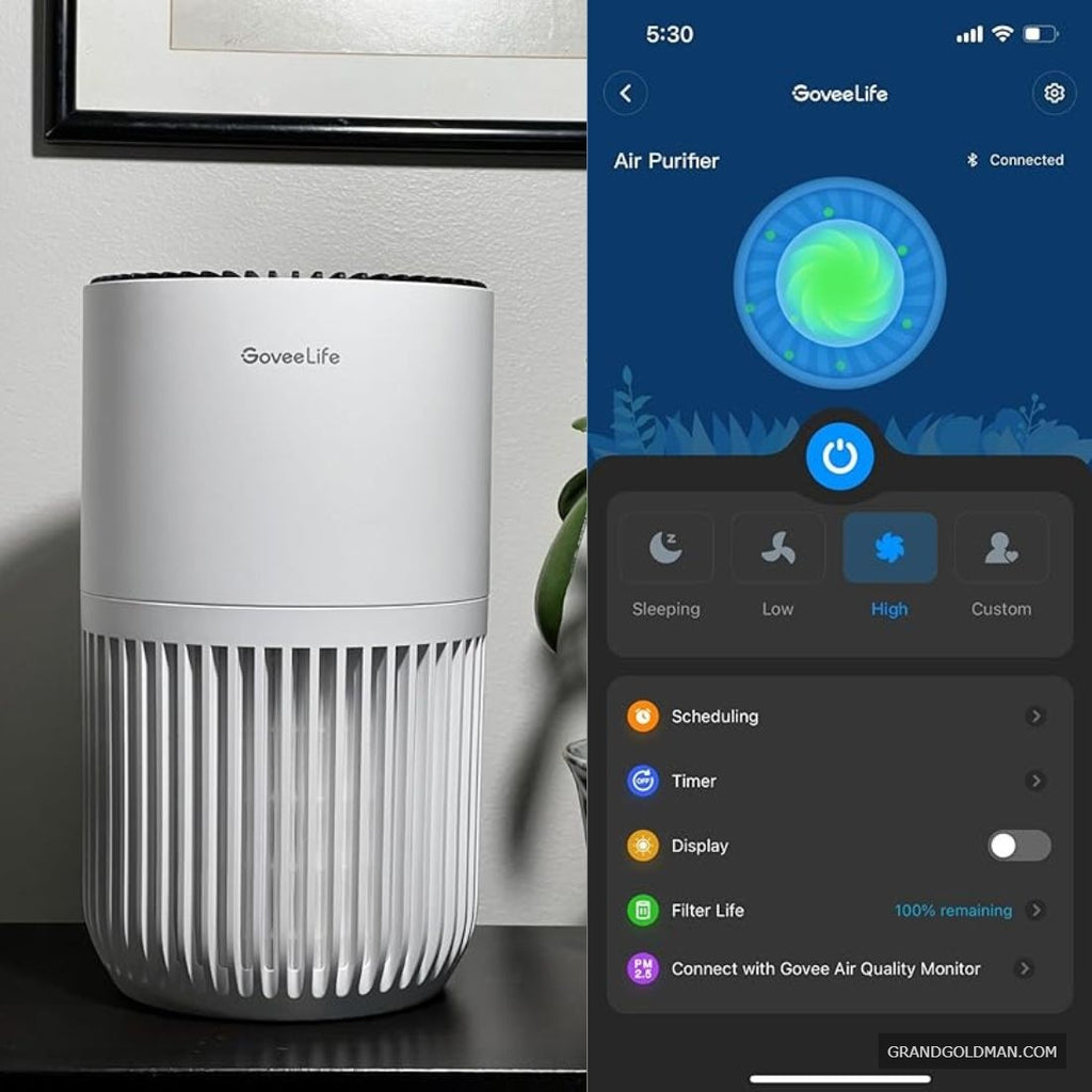 Mini purificateur d'air GoveeLife pour chambre à coucher, purificateur d'air à filtre intelligent HEPA avec application Alexa Control - Meilleurs purificateurs d'air intelligents pour la maison et les animaux domestiques (Avis) - grandgoldman.com