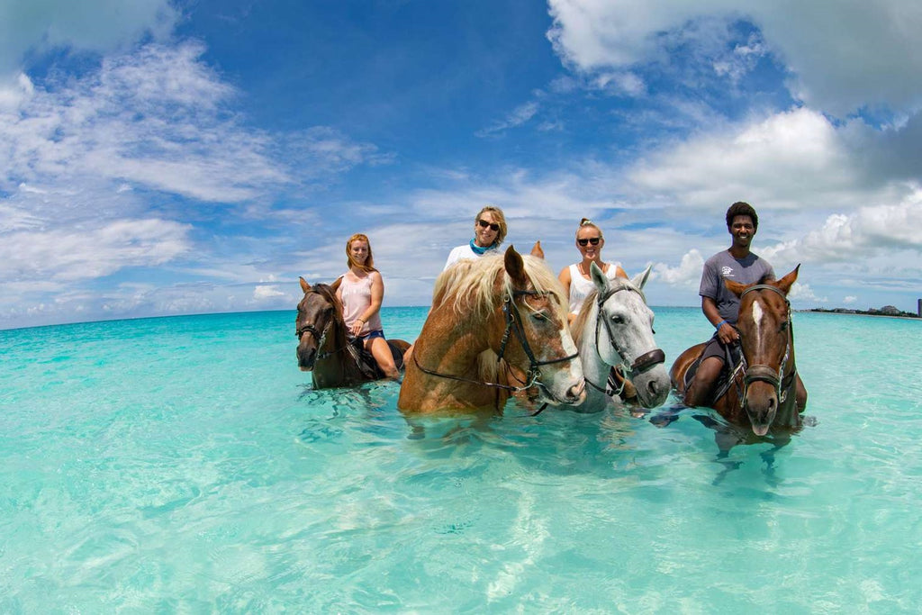 Équitation Turks et Caicos - Meilleurs complexes hôteliers tout compris TURKS et CAICOS - grandgoldman.com
