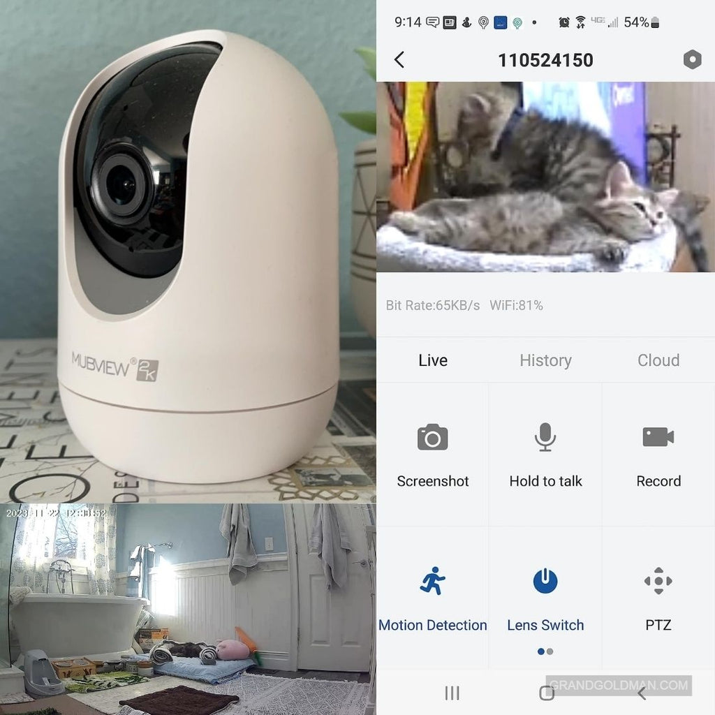 MUBVIEW Indoor Security Camera - best security camera for 24 hour recording - GRANDGOLDMAN.COM