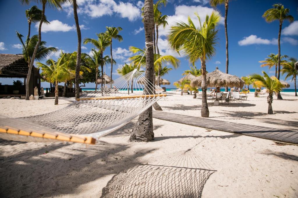 Manchebo Beach Resort & Spa, Aruba - The Most Popular All-Inclusive Resort Destinations