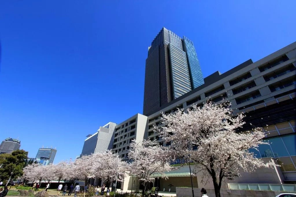 Remm Roppongi - Best Hotels Where to Stay in Tokyo With Family - GRANDGOLDMAN.COM