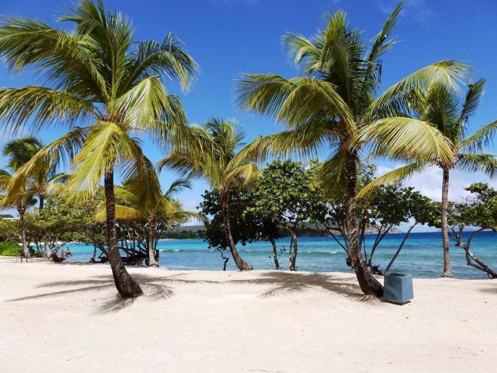 Sapphire Beach Resort & Marina, St. Thomas - Best Resorts Families US Virgin Islands