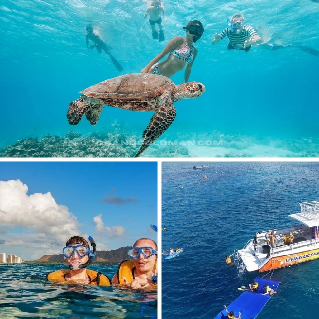 Turtle Canyons Snorkel Excursion from Waikiki - Best Things to Do in Oahu for Couples