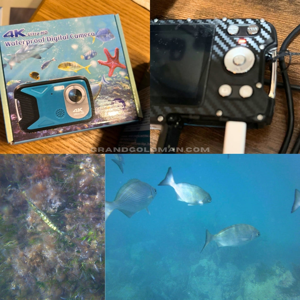 YEEIN 16FT Underwater Camera 30MP: Best Snorkeling for Pond - Best Underwater Camera for Snorkeling Reviews - GRANDGOLDMAN.COM