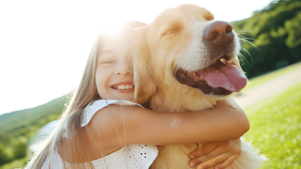 Girl hug dog sunny day - Automated Pet Care Devices - grandgoldman.com