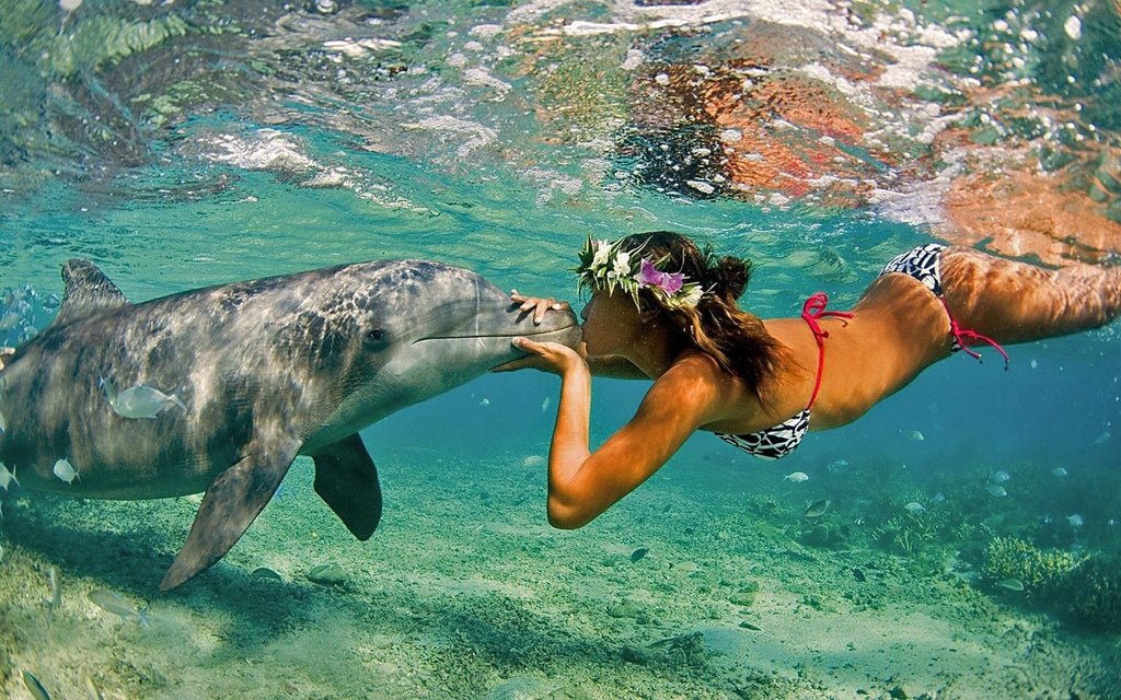 girl snorkeling dolphin kiss