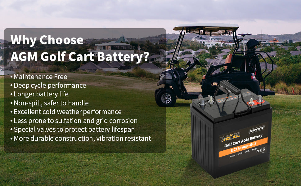 Golf Cart Battery