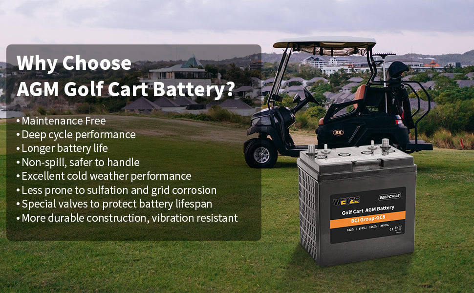 Golf Cart Battery