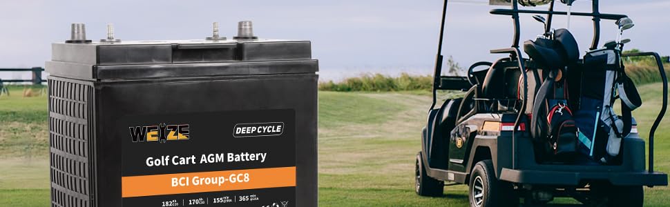 Golf Cart Battery