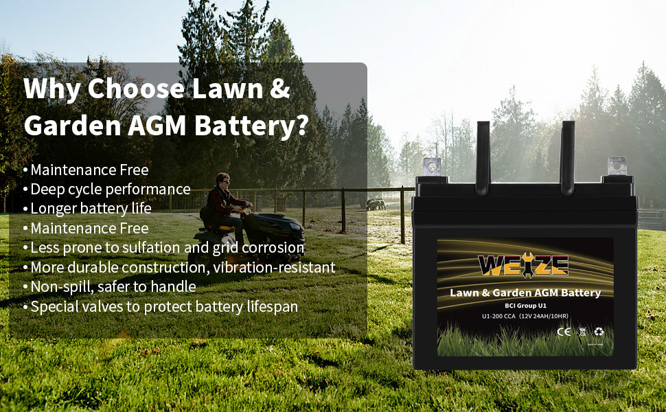 AGM Battery