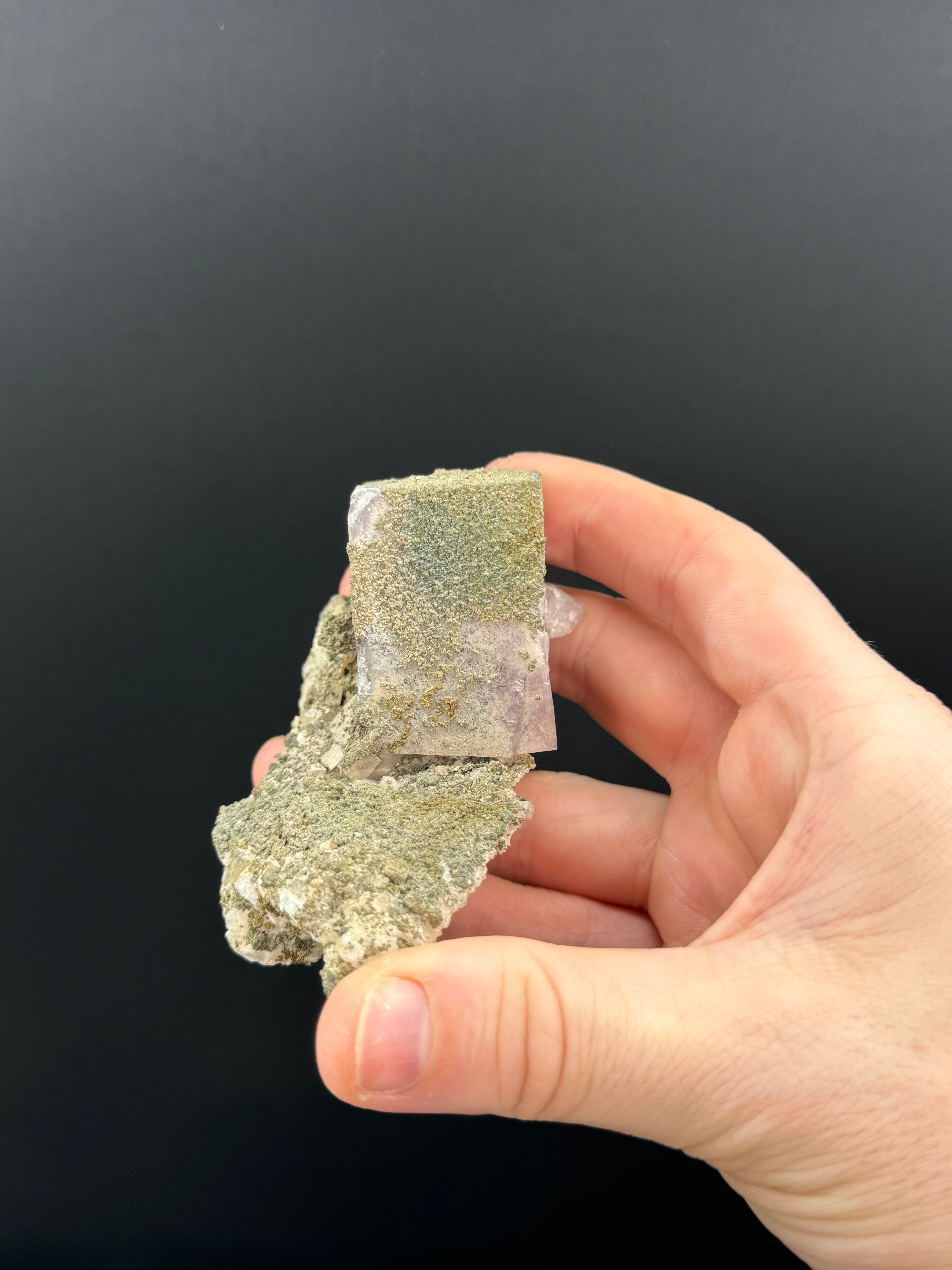 Missei22 weekly order