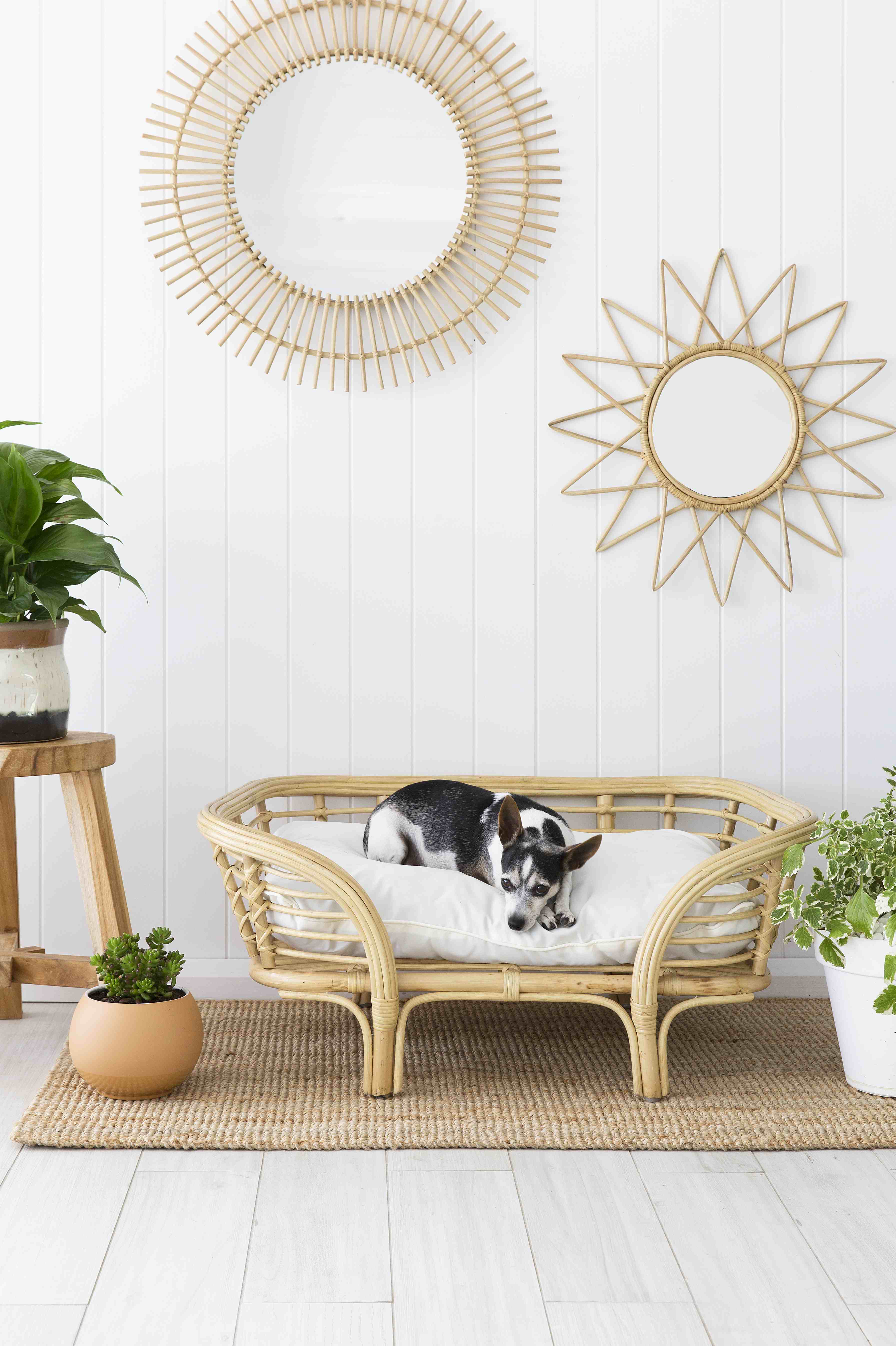 rattan dog bed