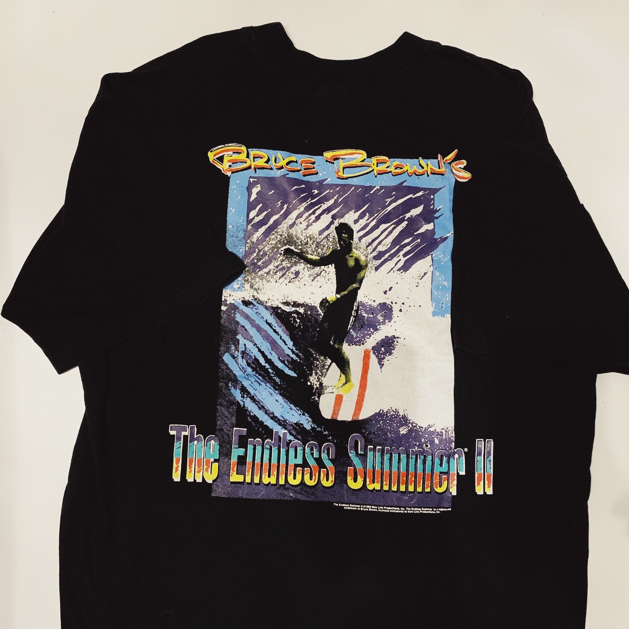 【Vintage】90's The Endless Summer 2 Tee　(men's L)