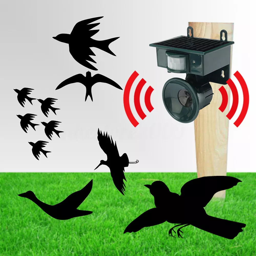 How to Use Bird Repeller