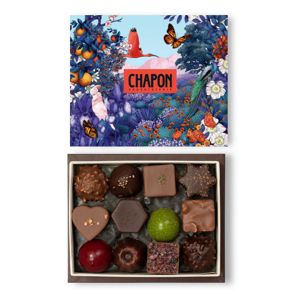 Chapon • Friture Praliné Chocolat Noël 130g