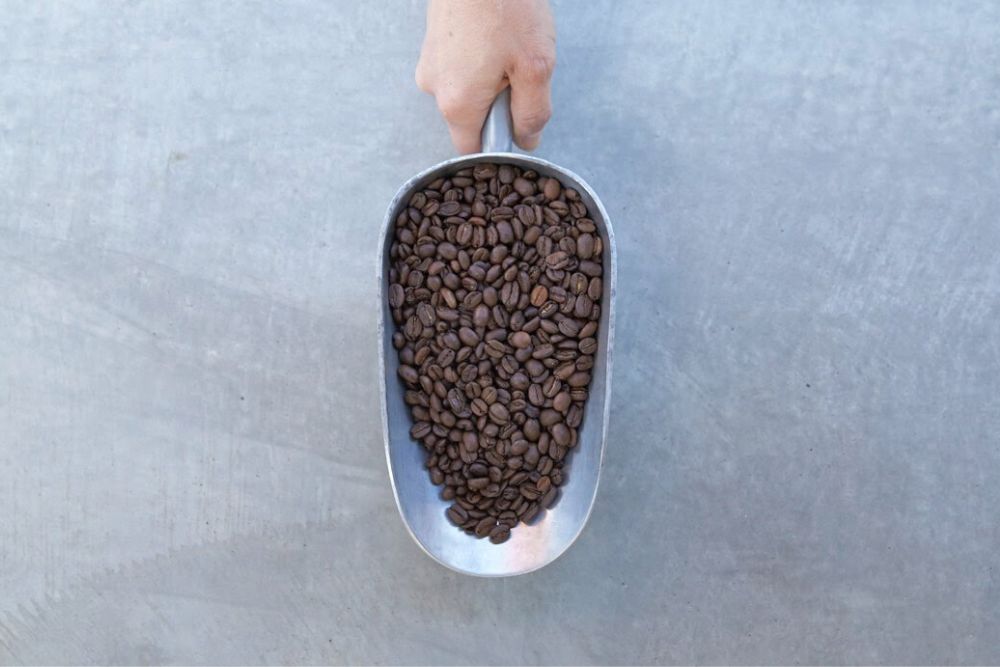 coffee beans in scoop