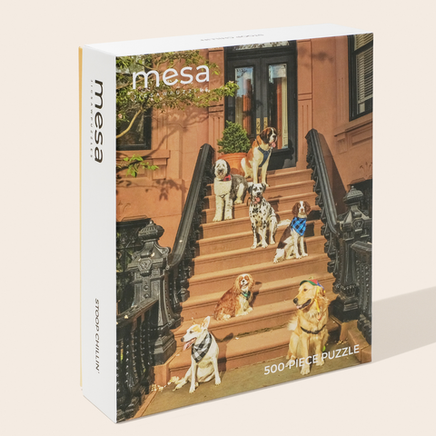 dogs on a stoop in a puzzle