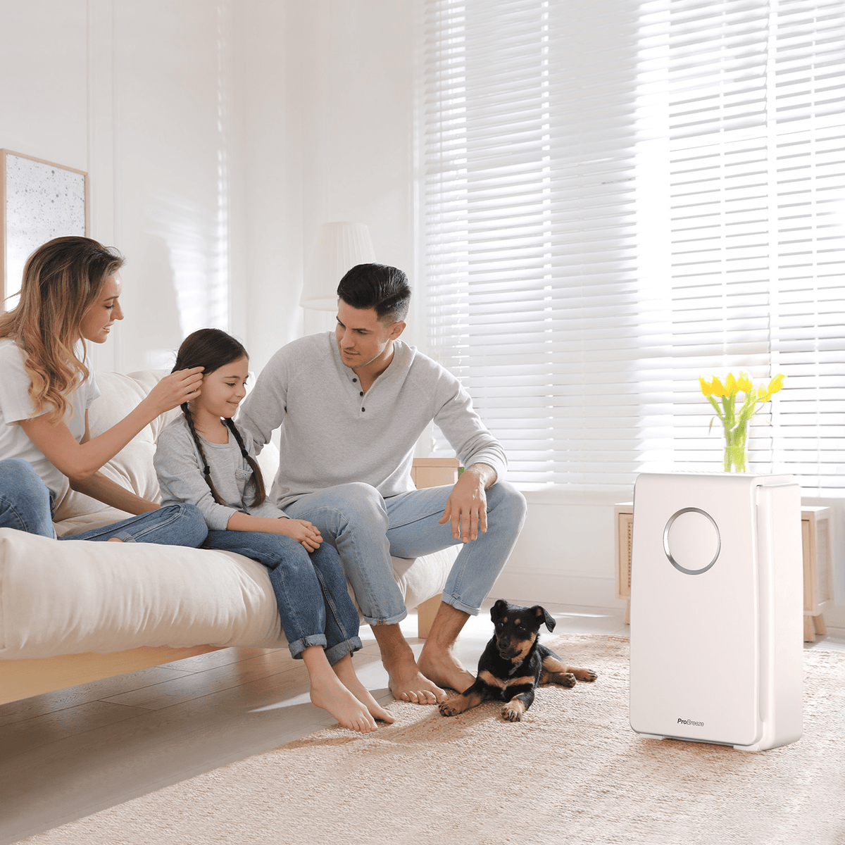 Nouveau design RoHS ce contrôle automatique de CB Humidistat Accueil déshumidificateur  d'air avec purificateur d'Air HEPA déshumidificateur - Chine Purificateur d' air avec fonction de chauffage et prix d'humidificateur prix