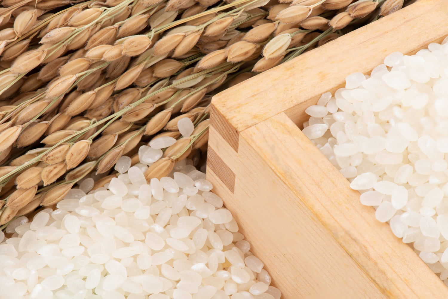 The Ultimate Guide to Japanese Rice-Derived Skincare
