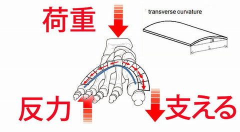 足底筋膜炎　治し方