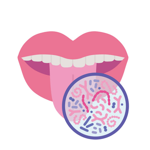 Oral microbiome bacteria