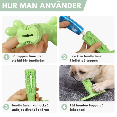 caesarshop-hundtandborste-hundleksak-tandleksak-hur-maan-använder