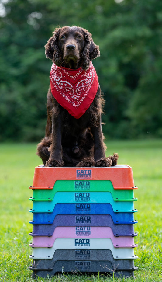 Cato Board XL - Dog Platform (Yellow, with Tilt Stand)