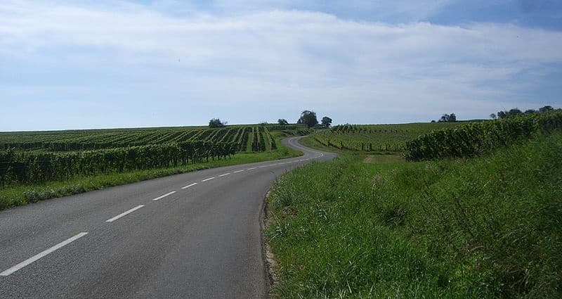 Route des Vins D'Alsace - ©Maximilian Dörrbecker