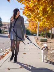 opc leash system full kit