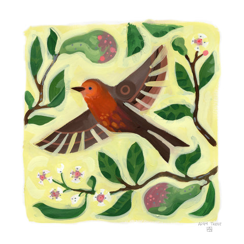 Pear Tree and Robin Print by Adam Trest