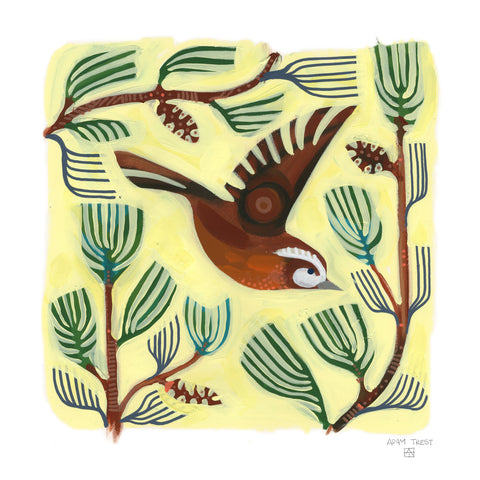 Pine Tree and Warbler Bird Print by Adam Trest