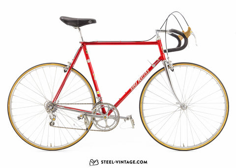 Eddy Merckx professional