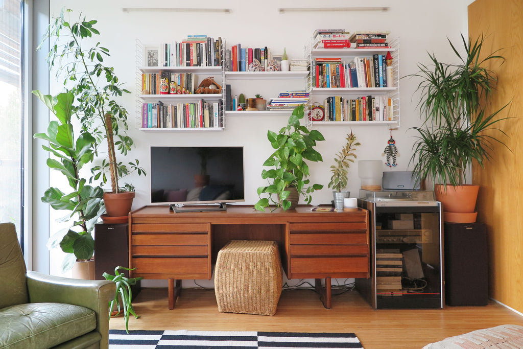 cosy home office plants and lighting