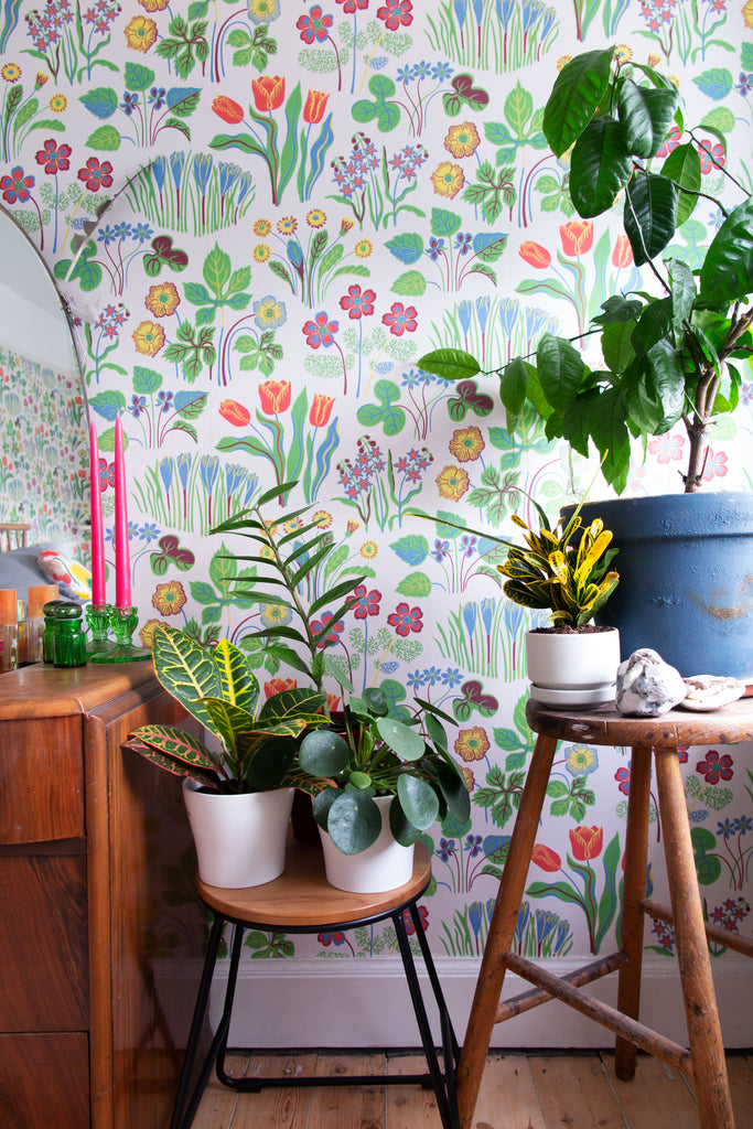 colourful plants and desk cosy home office