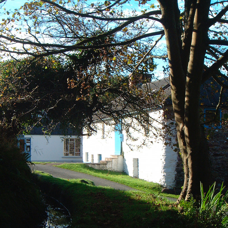 Melin Tregwynt Mill