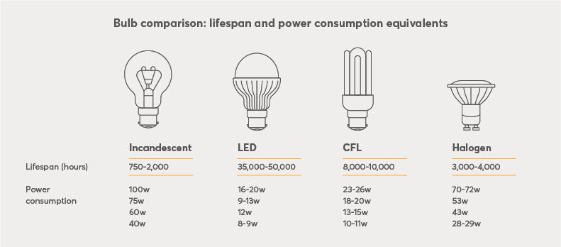 Bulb Comparison