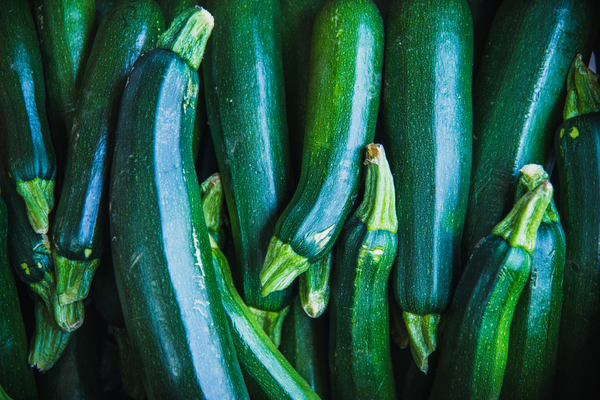 Courgette oogsten