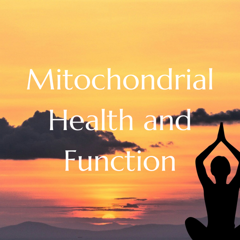 Mitochondrial Health and Function