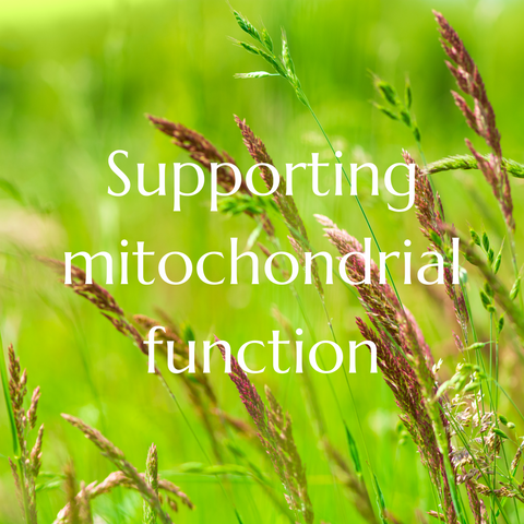 Supporting mitochondrial function