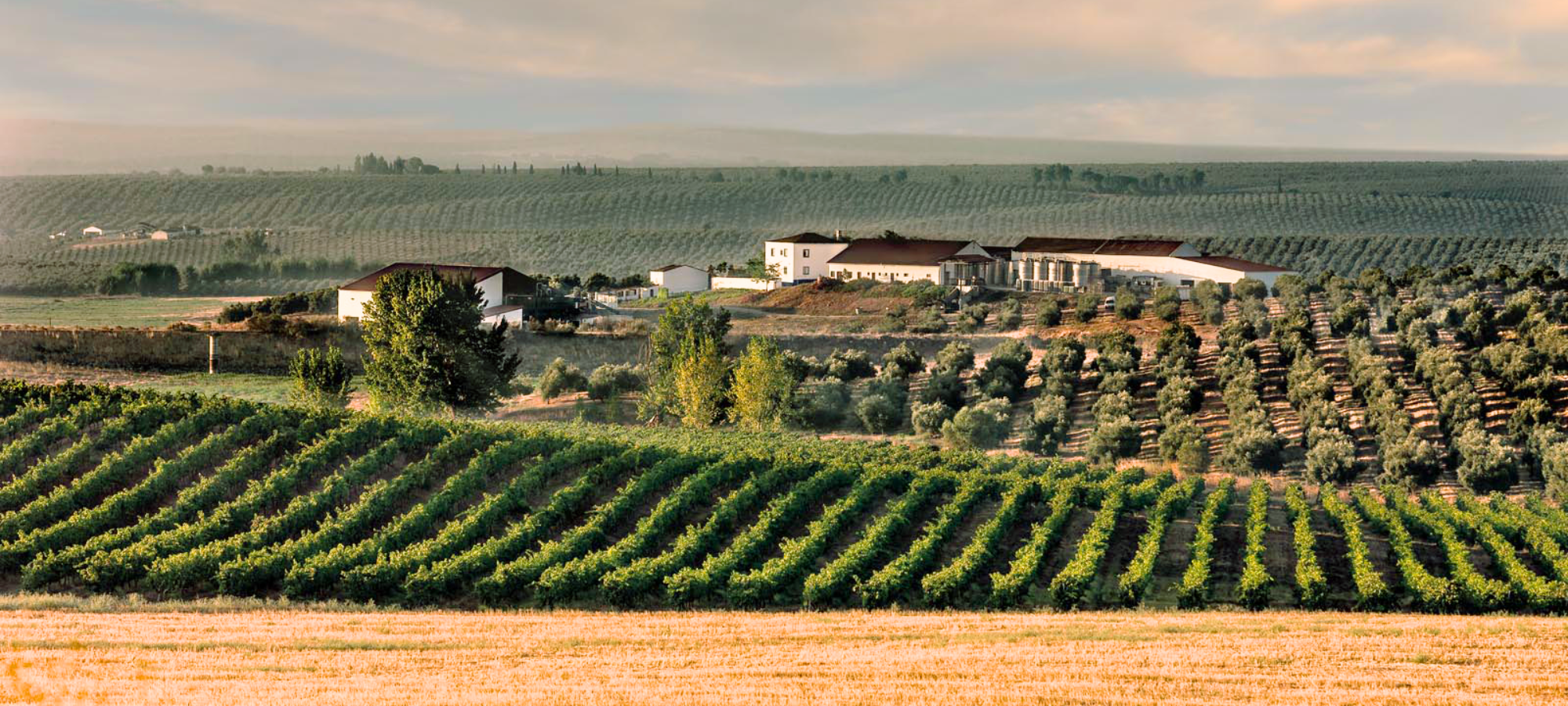 Bild von der Herdade Paço do Conde in einer Landschaft gelegen.