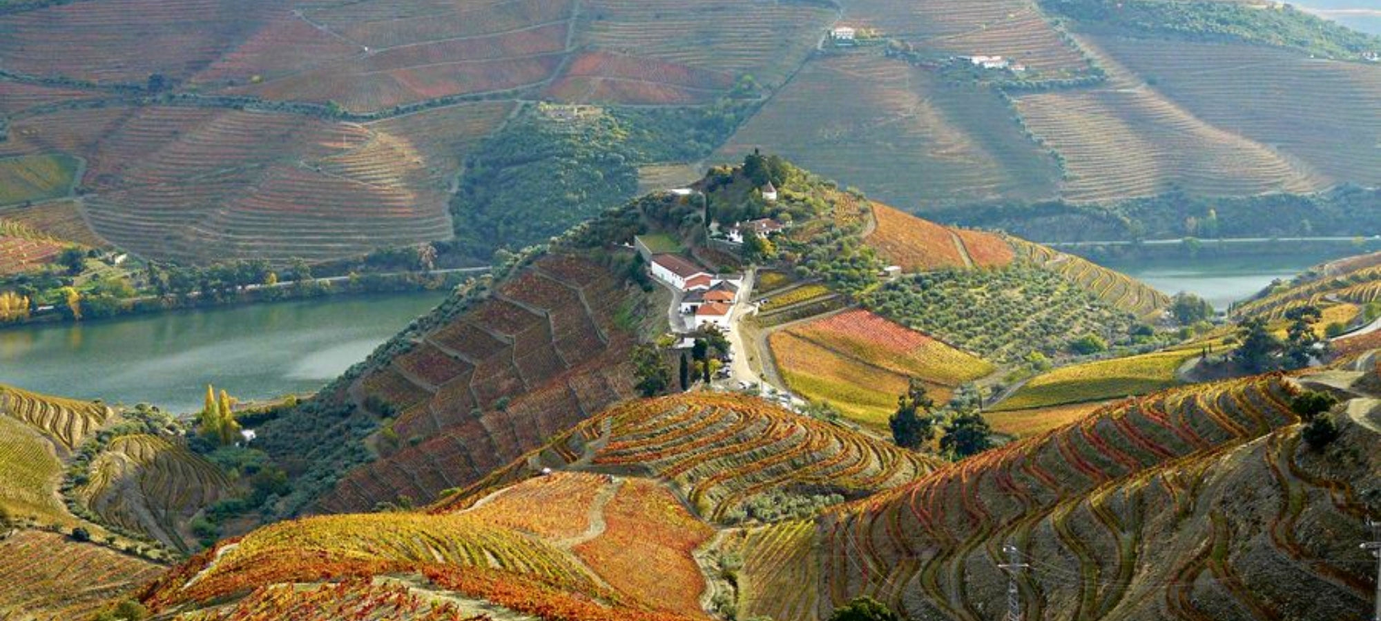 BIld von der Quinta do Crasto auf einem Berg oberhalb des Douro gelegen.
