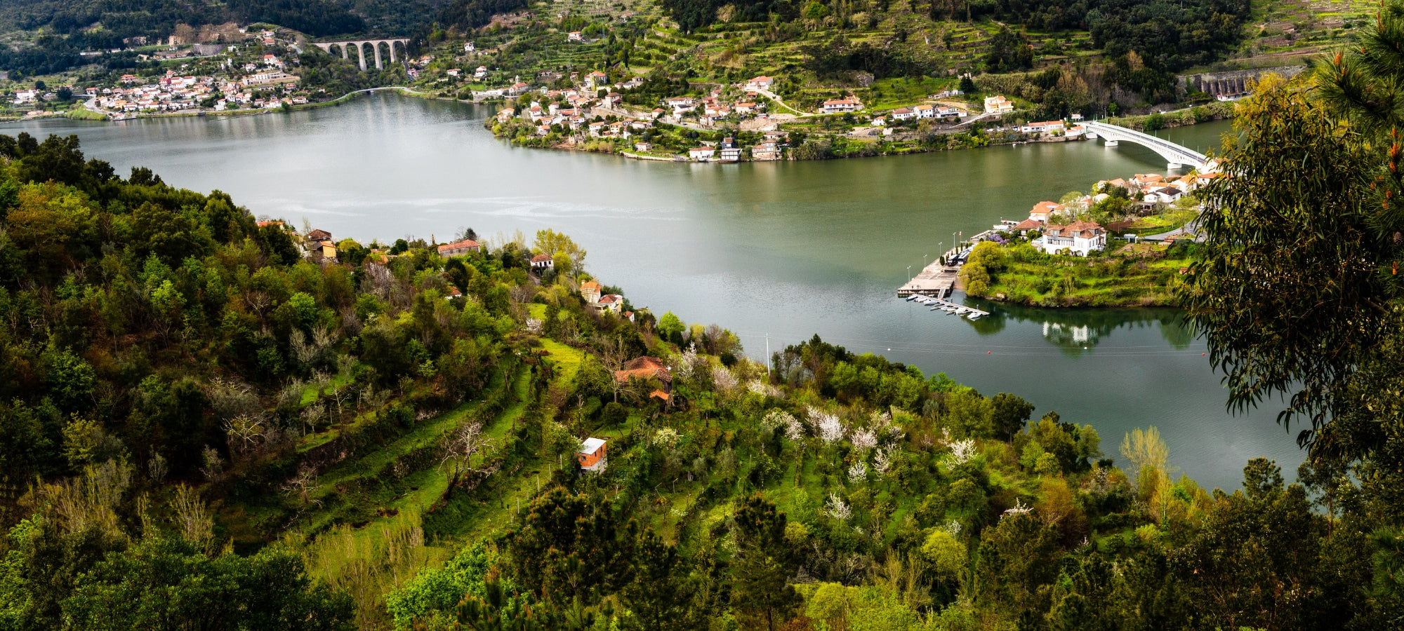 Blick auf den Douro und die Weinberge in Portugal.