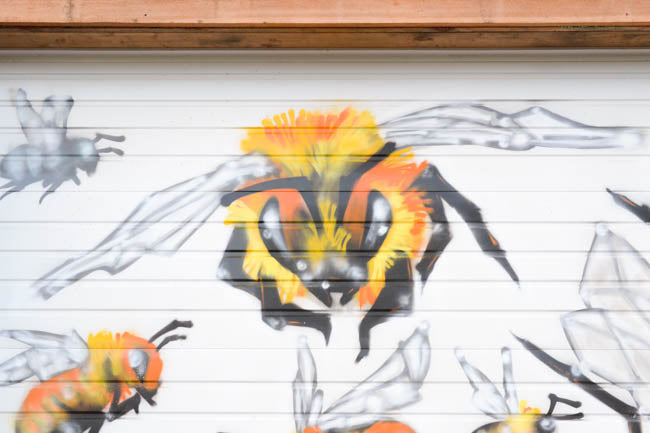 Honeybee Mural at Old Blue Raw Honey by artist Manny Arechiga