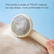 Pet Comb Self Cleaning Slicker Brush