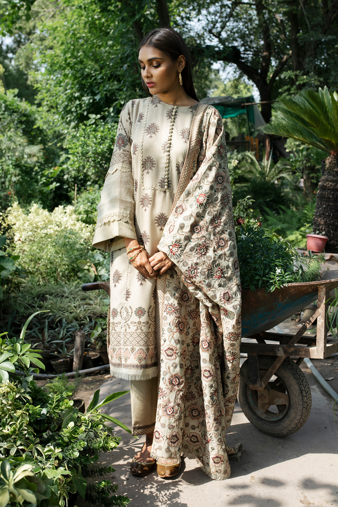 Qalamkar Rehab Luxury Winter Collection (With Shawl) – Chawal Tanka QWK-02