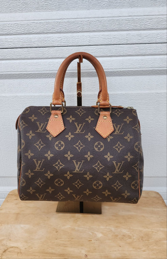 Louis Vuitton Alma PM Amalant Hand Bag #10838