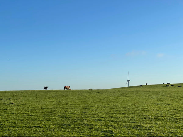 Windmill in field 