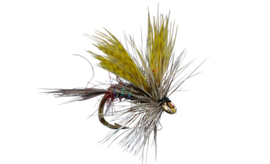 Eastern Dry Fly Assortment--54 Flies #24 — Big Y Fly Co